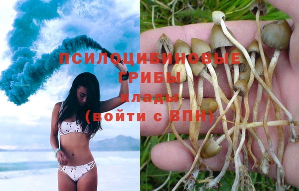 сатива Горно-Алтайск