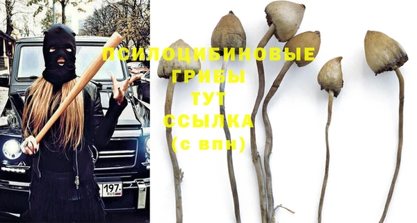 прущая мука Горнозаводск