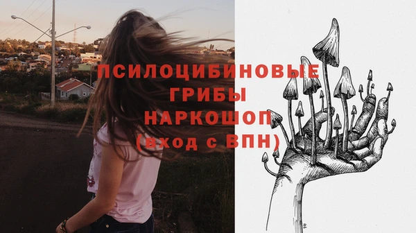 кристаллы Гусь-Хрустальный