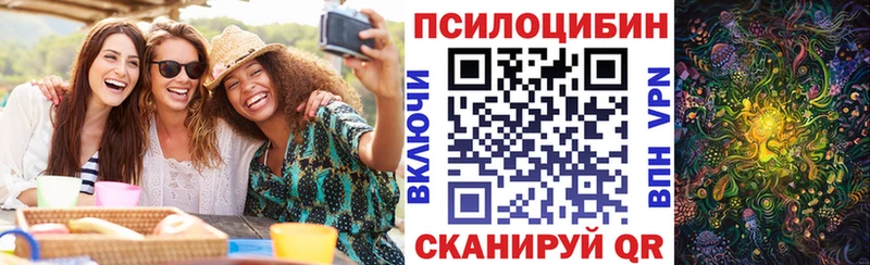 Купить  Магадан  Галлюциногенные грибы GOLDEN TEACHER 